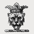 Spring family crest, coat of arms