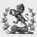 Wolley family crest, coat of arms