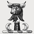 Tolhurst family crest, coat of arms