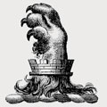 Alwyn family crest, coat of arms