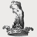 Cokfeld family crest, coat of arms