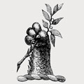 De Segrave family crest, coat of arms
