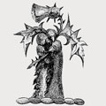Hadlow family crest, coat of arms