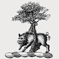 Douglas family crest, coat of arms