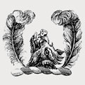 Halleweel family crest, coat of arms
