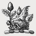 Oglethorpe family crest, coat of arms