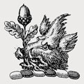 Hill family crest, coat of arms