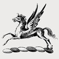 Newenham family crest, coat of arms
