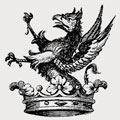 Connocke family crest, coat of arms