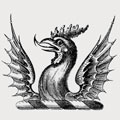 Martin family crest, coat of arms