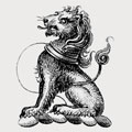 Acham family crest, coat of arms