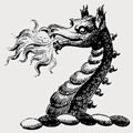 M'gavin family crest, coat of arms
