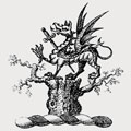 Ireys family crest, coat of arms