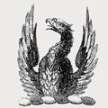 Hampton family crest, coat of arms