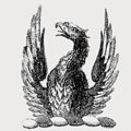 Petrie family crest, coat of arms