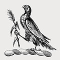 Blundell family crest, coat of arms