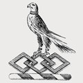 Hawksley family crest, coat of arms