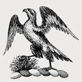Aberbury family crest, coat of arms