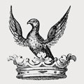 Smyth family crest, coat of arms