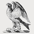 Falcon family crest, coat of arms