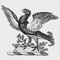 Holden family crest, coat of arms