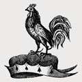 Nutt family crest, coat of arms