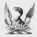 Macleod family crest, coat of arms