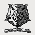 Abcott family crest, coat of arms