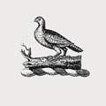 Worseley family crest, coat of arms