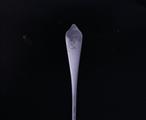 Twenty eight silver dessert forks