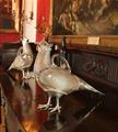 Pair of lifesize sterling silver and glass Pheasant claret jugs