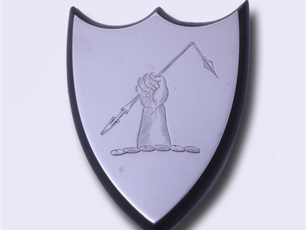 Heraldic shield