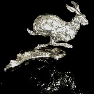 SILVER BUNCHED HARE